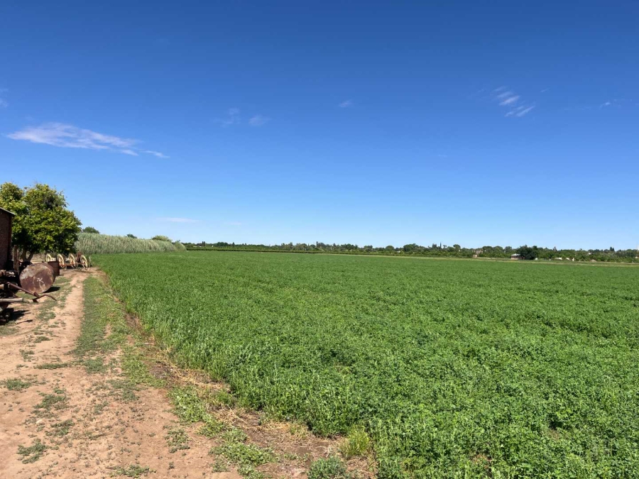 0 Bedroom Property for Sale in Middelpos Northern Cape